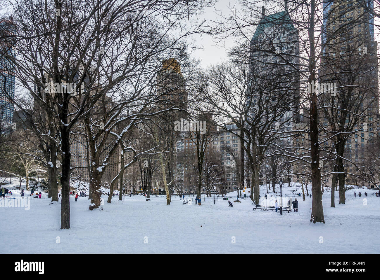 Central Park im Winter in Schnee bedeckt, New York City, USA. Stockfoto