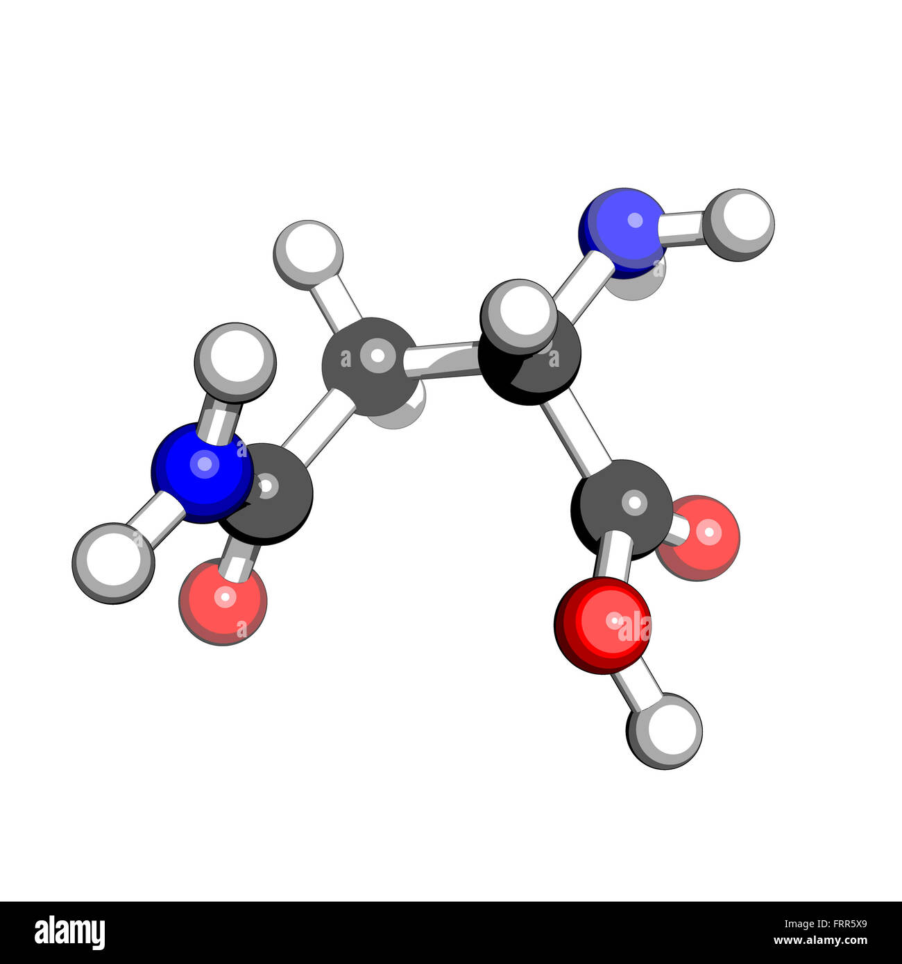 Aminosäure Asparagin molekulare Struktur auf einem weißen Hintergrund Stockfoto