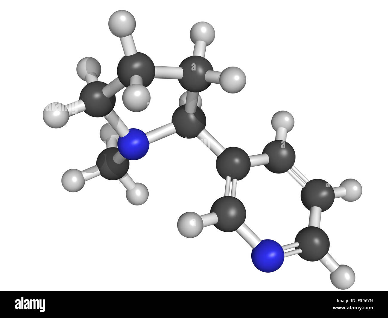 Nikotin-Molekül, Molekülmodell. Nikotin ist die süchtig machende Hauptkomponente des Tabaks. Stockfoto