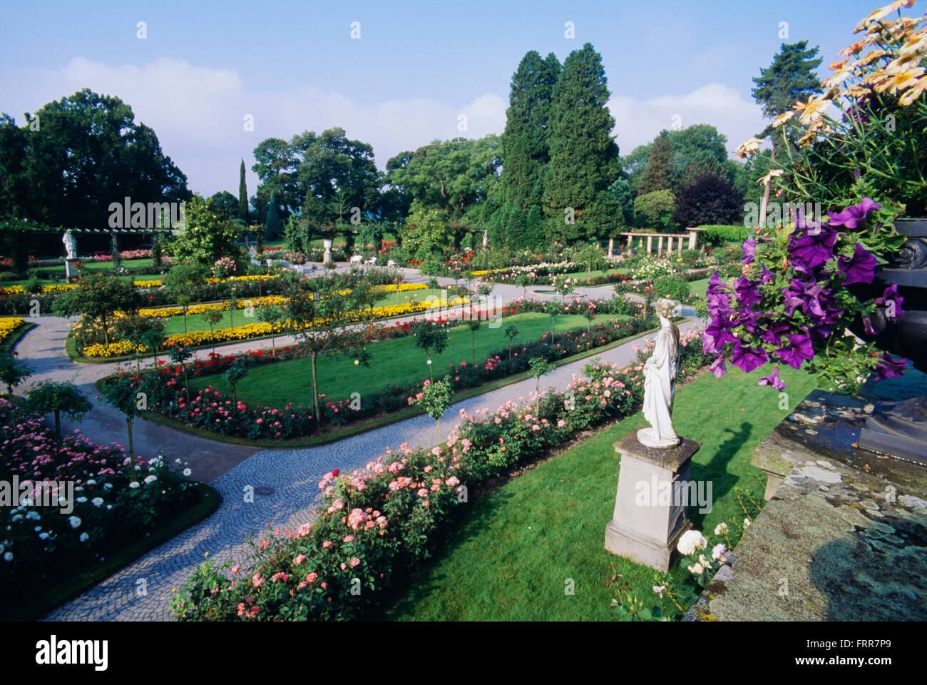 Rosengarten rosen insel mainau bodensee Fotos und Bildmaterial in