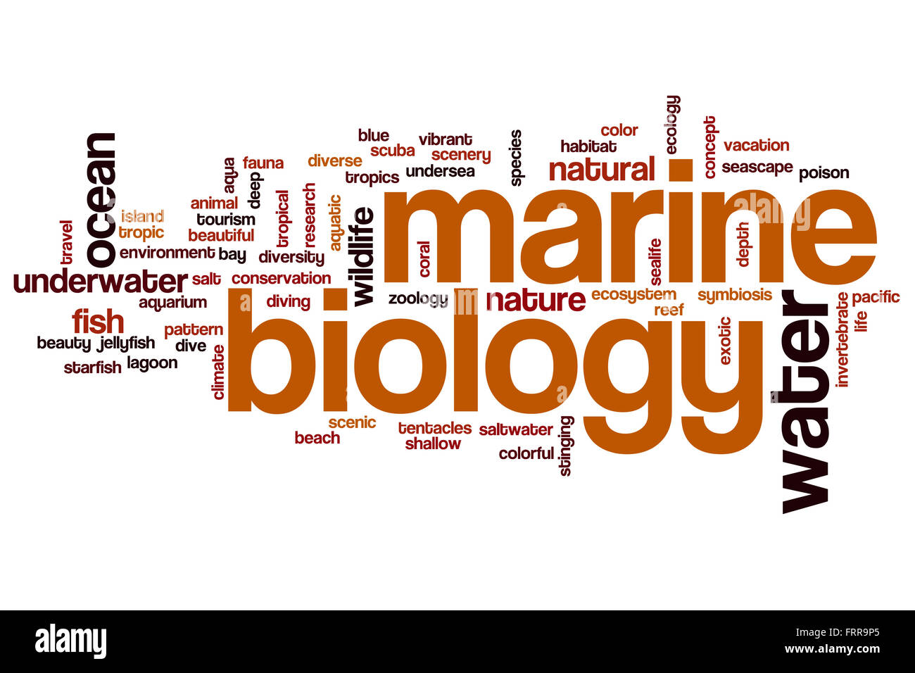 Meeresbiologie-Wort-Cloud-Konzept Stockfoto