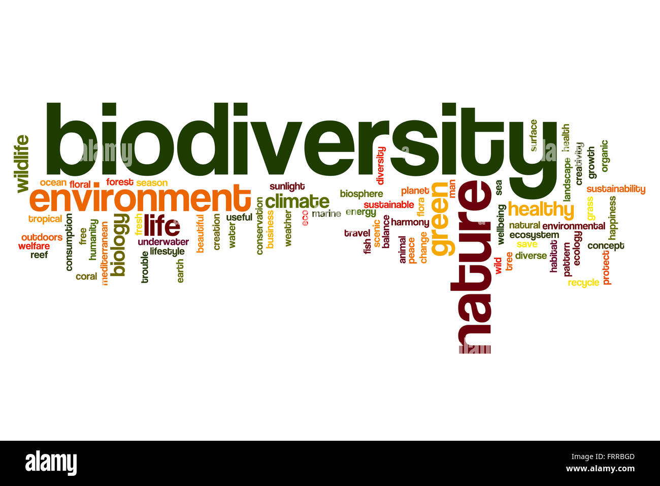 Biodiversität-Konzept Word Cloud-Hintergrund Stockfoto