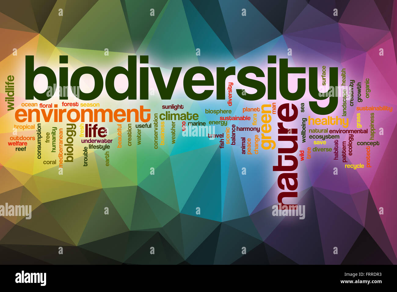 Biodiversität-Wort-Cloud-Konzept mit abstrakten Hintergrund Stockfoto