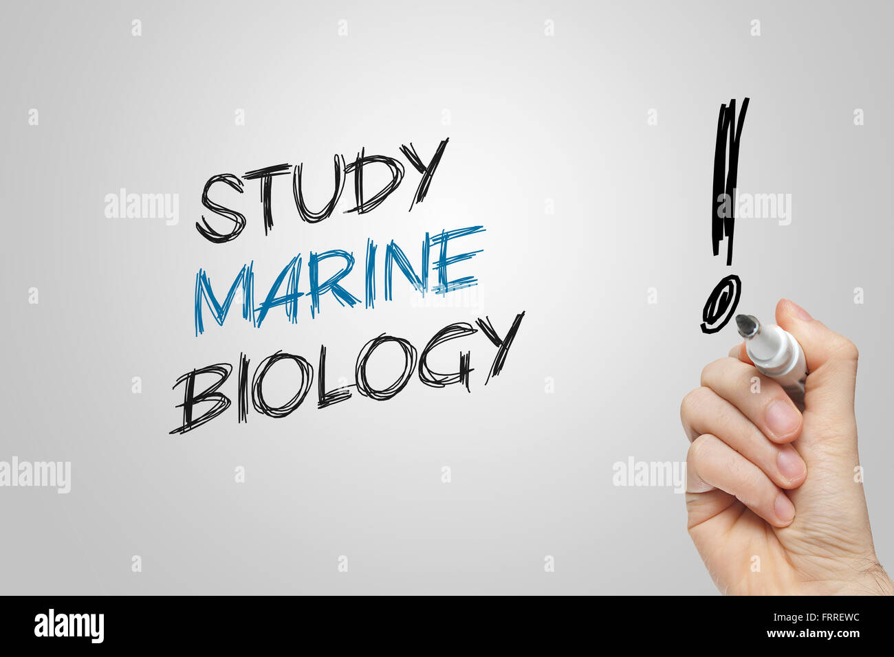 Handschrift Studie Meeresbiologie auf grauem Hintergrund Stockfoto