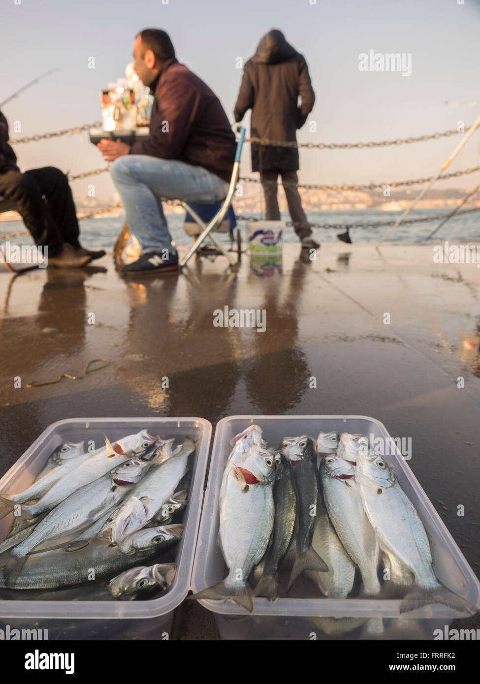 Männer mit frischen Fisch-Container vor Meer in Istanbul, Türkei. Stockfoto