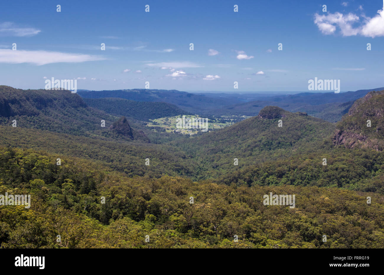 Lamington National Park, Regenwald, Australien Stockfoto