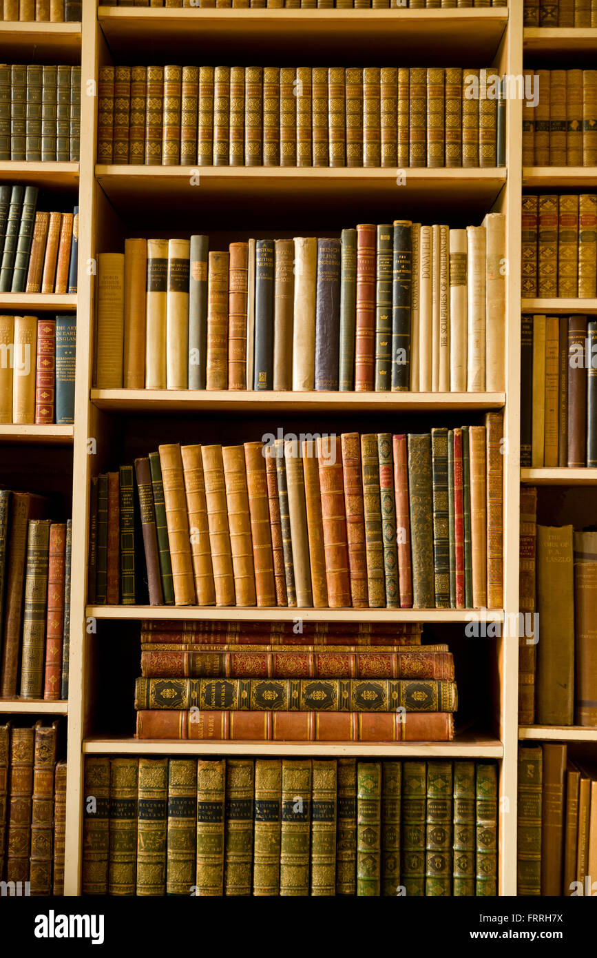 Bibliothek Bücherregale mit alten Büchern. Regale voller Leder gebundene Bücher. Stockfoto