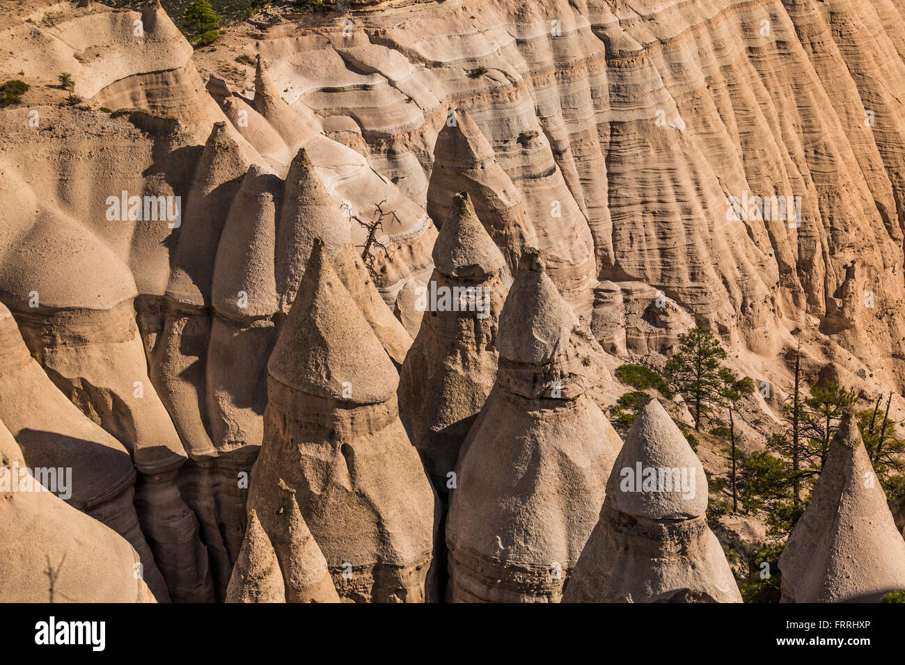 Zelt-förmigen Hoodoos betrachtet aus dem Slot Canyon Trail im Kasha-Katuwe Zelt Rocks National Monument in New Mexico, USA Stockfoto