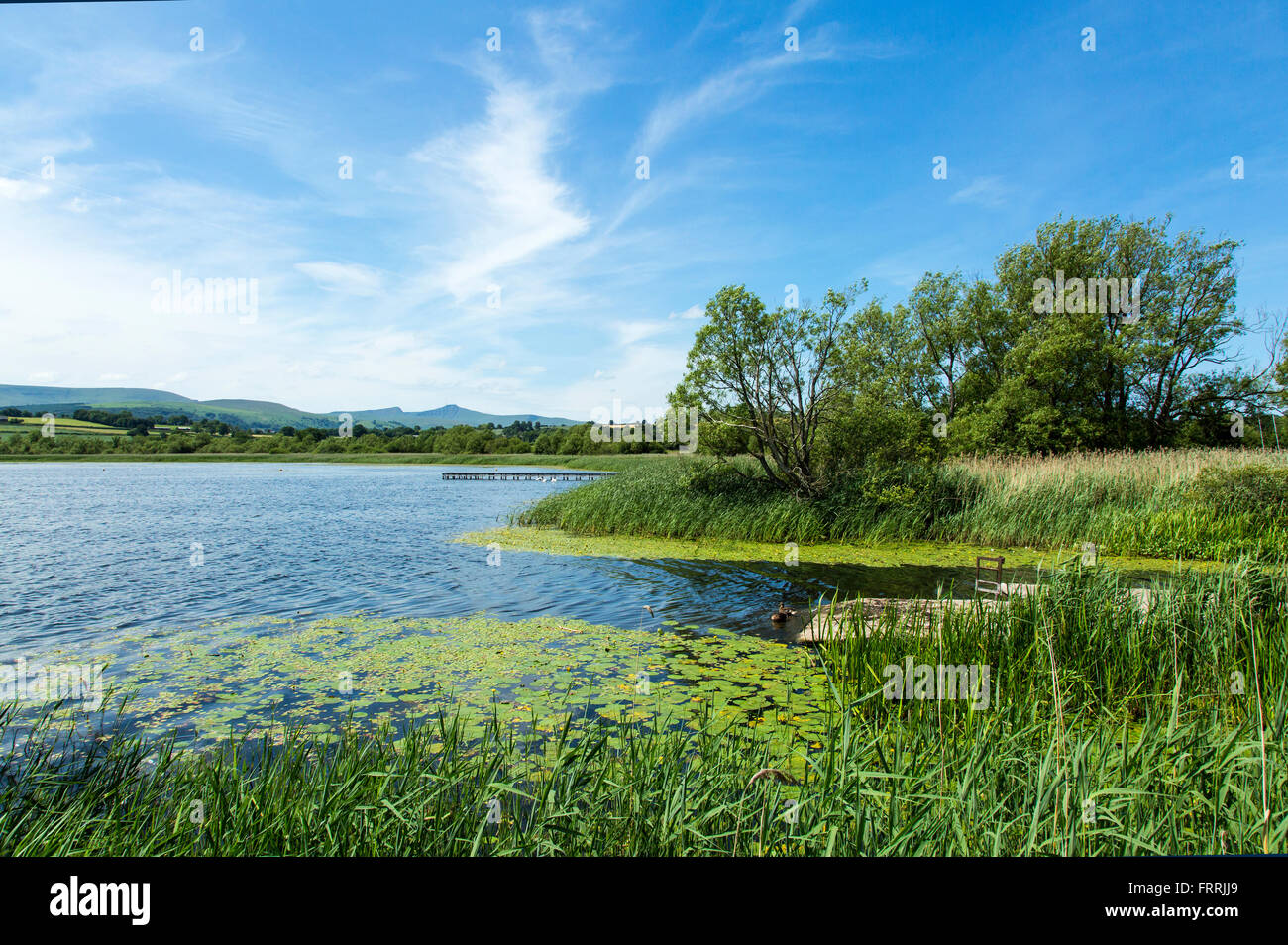 Llangorse See, Brecon-Beacons-Nationalpark, Wales, UK Stockfoto