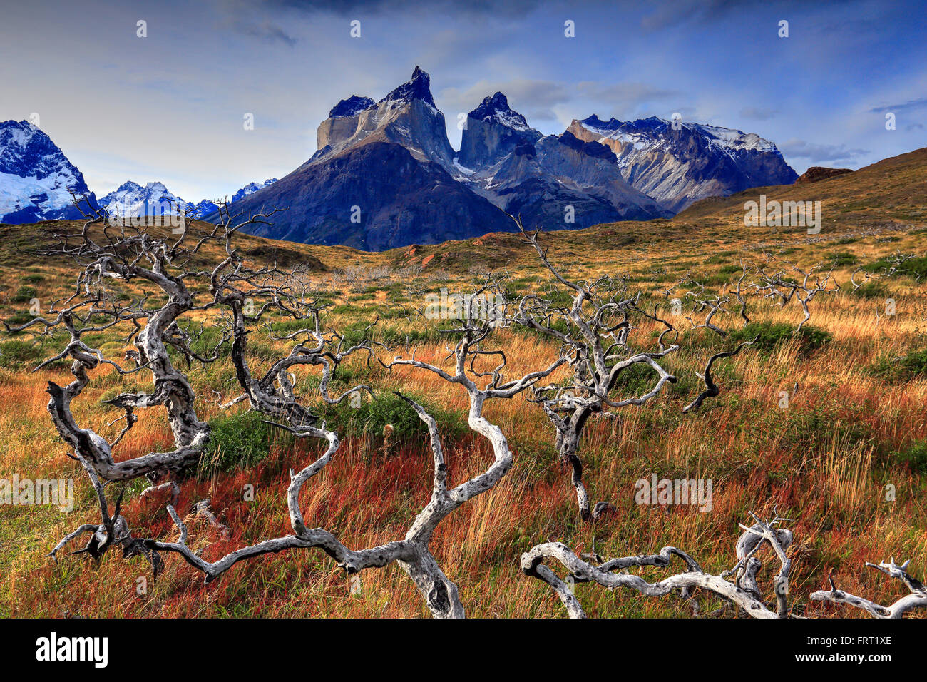 Torres del Paine Nationalpark, Chile Stockfoto