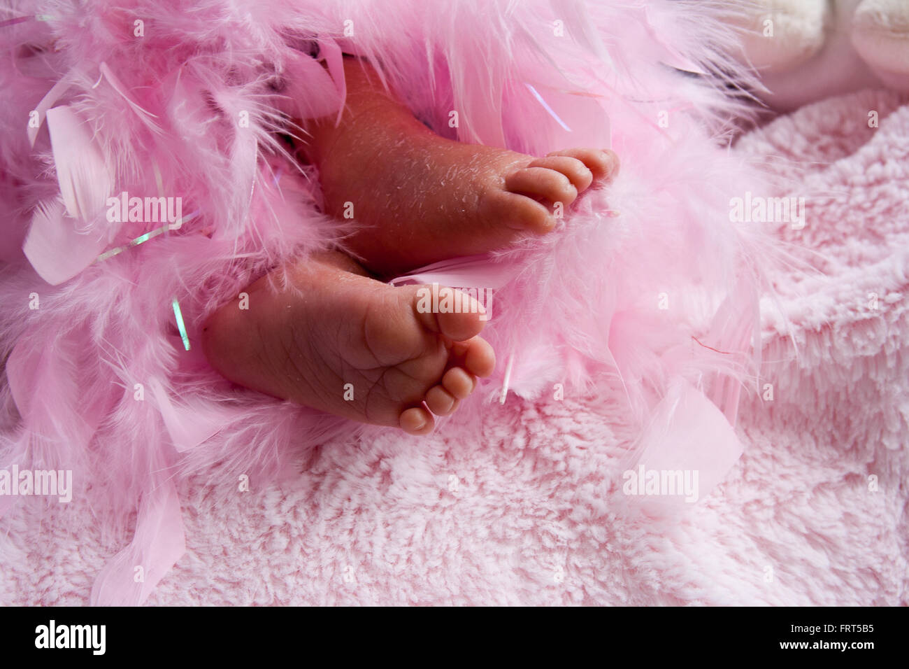 Schuppige Fusse Stockfotos Und Bilder Kaufen Alamy