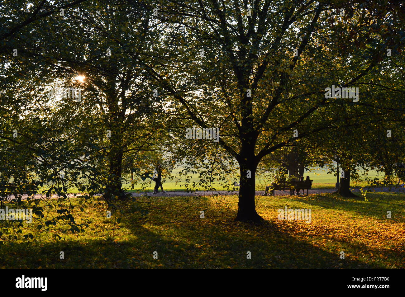 Späten Nachmittagssonne im Londoner Primrose Hill Park, leichte Schatten durch Bäume, eine Bank, Menschen, lange Stockfoto