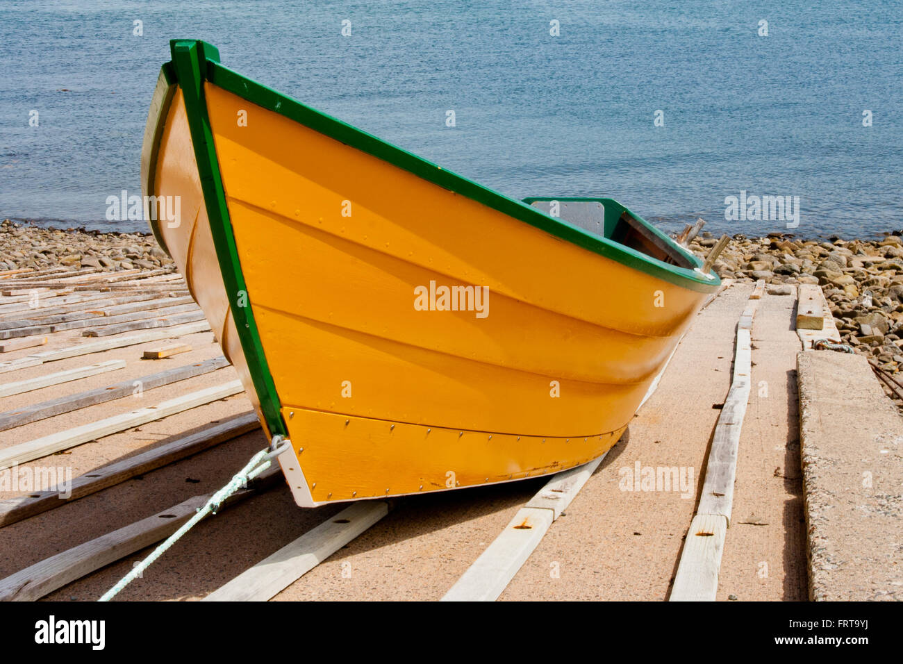 Neu lackiert Dory in lebendige gelb und grün. Stockfoto