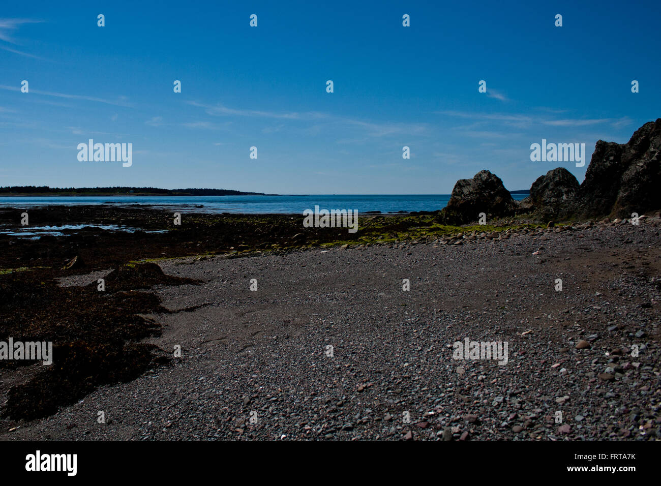 Bay Of Fundy Felsenküste Stockfoto
