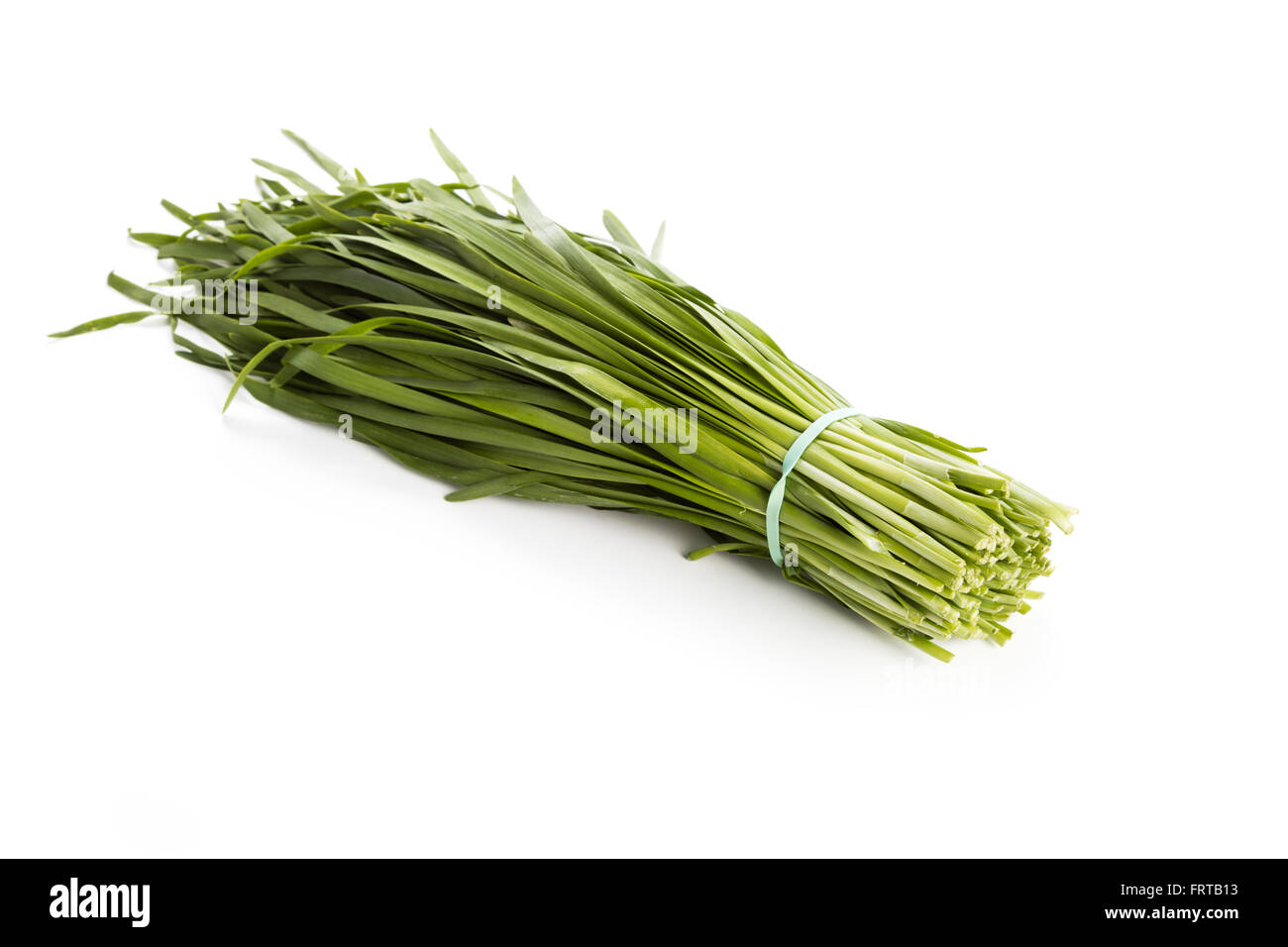 Chinesischer Schnittlauch, beliebte grüne Gemüse in Asien Stockfoto