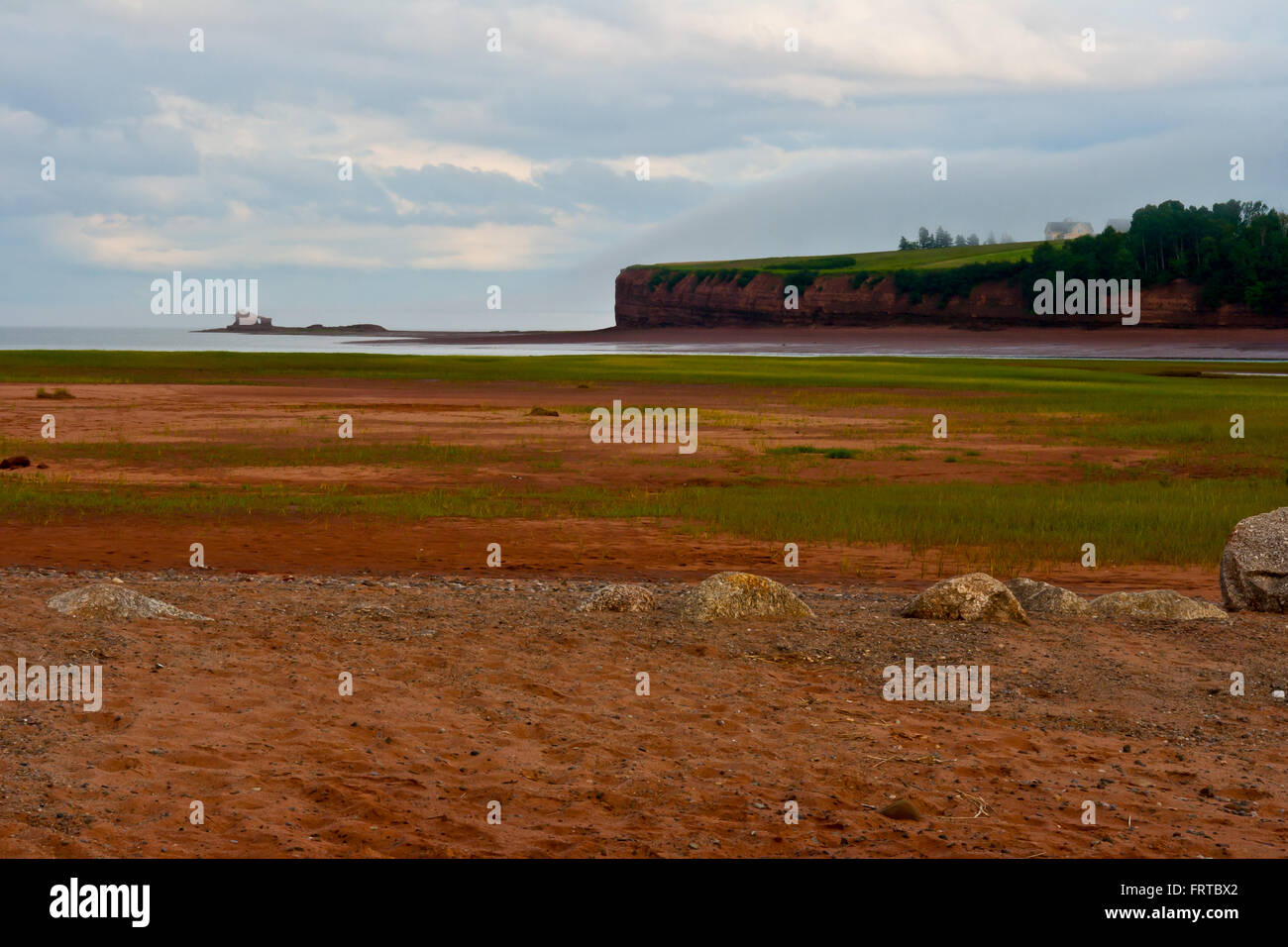 Niedrigwasser des Minas Basin - Delhaven Nova Scotia, Paddys Island (North Medford) in der Ferne. Stockfoto