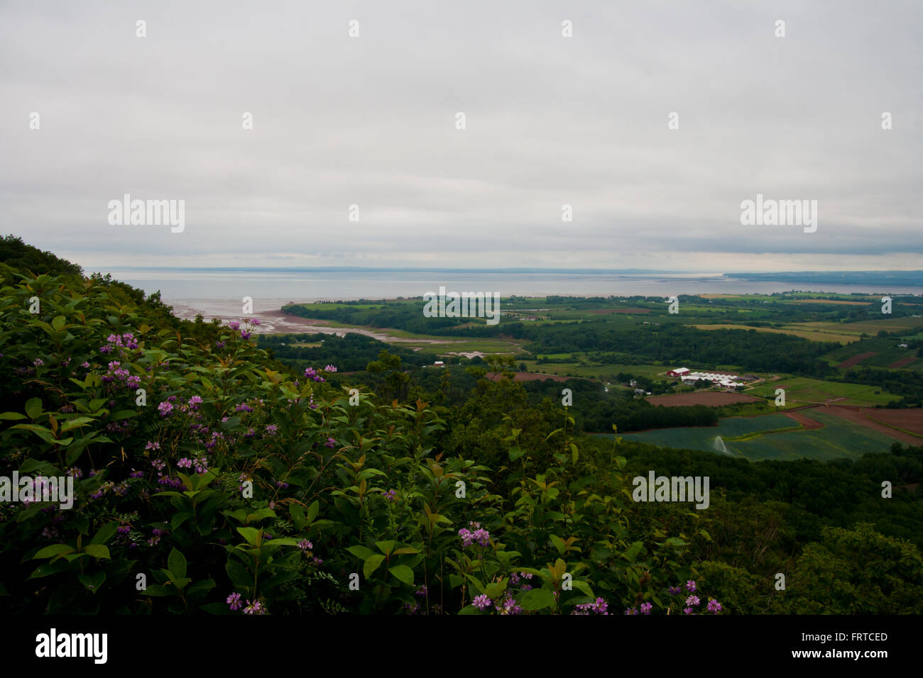 Flut auf das Minas Basin. Stockfoto