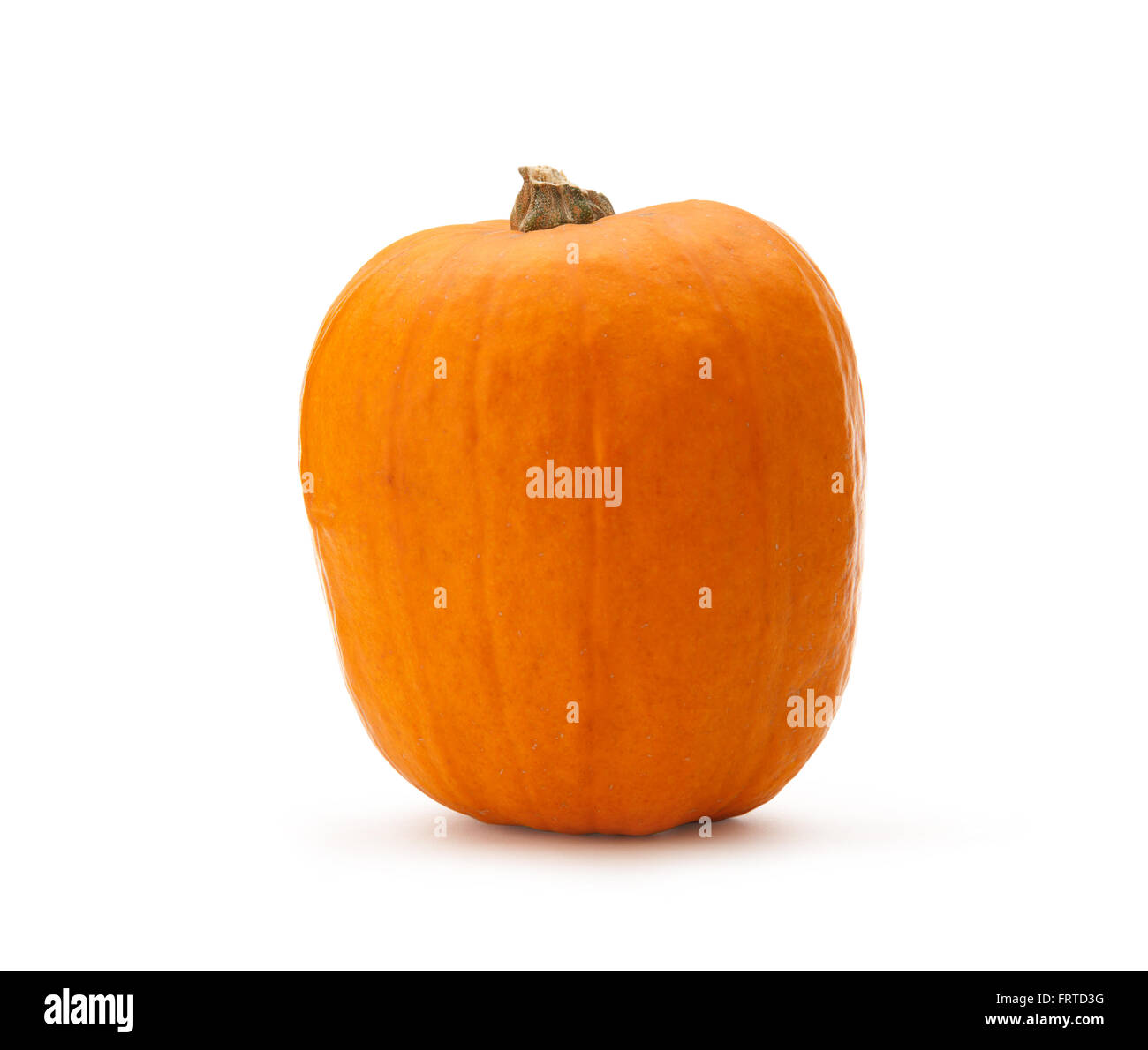 Kürbis in Nahaufnahme auf dem weißen Hintergrund Stockfoto