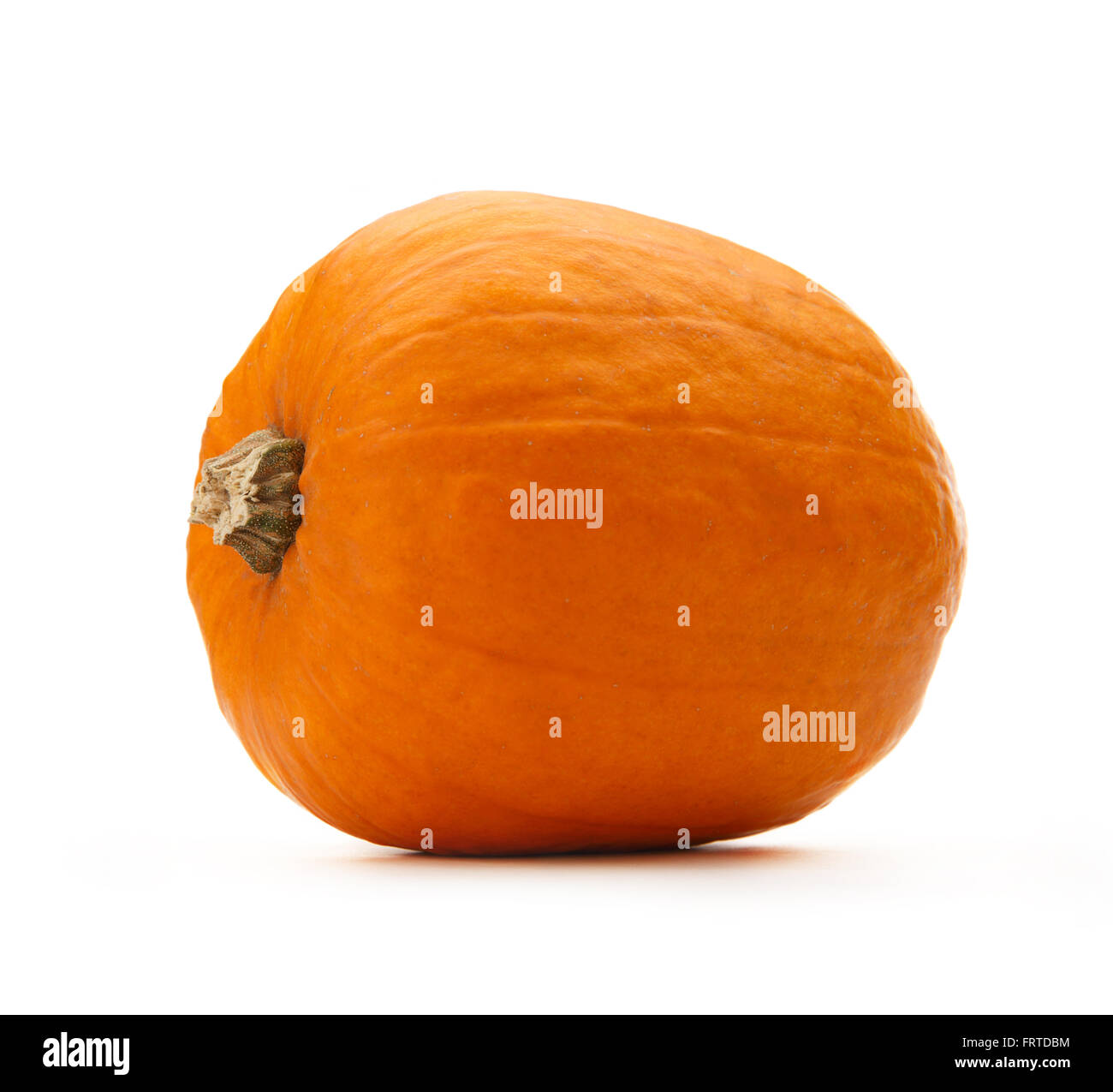 Kürbis in Nahaufnahme auf dem weißen Hintergrund Stockfoto