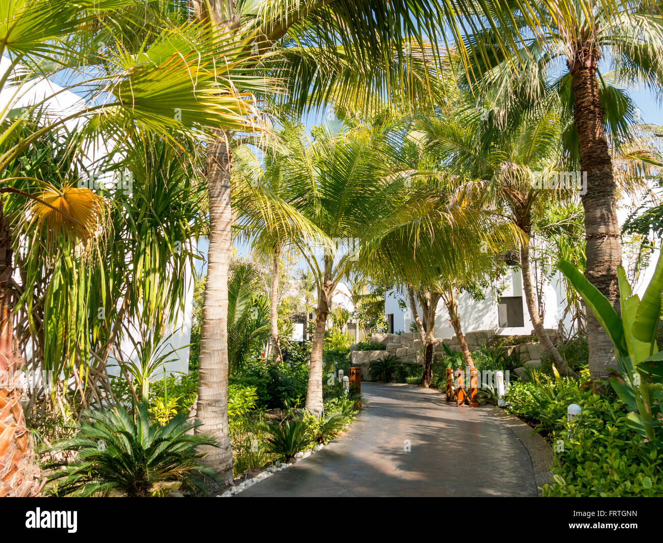 Tropischen Garten Luxus Hotel Beach Resort in Dubai, Vereinigte Arabische Emirate Stockfoto