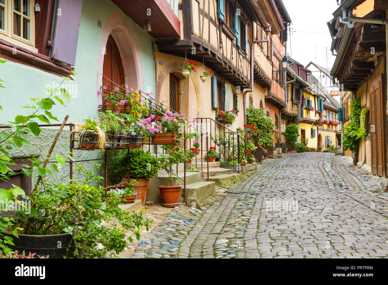 Fachwerkhäuser, entlang der Weinstraße, Eguisheim, Elsass, Haut Rhin, Frankreich Stockfoto
