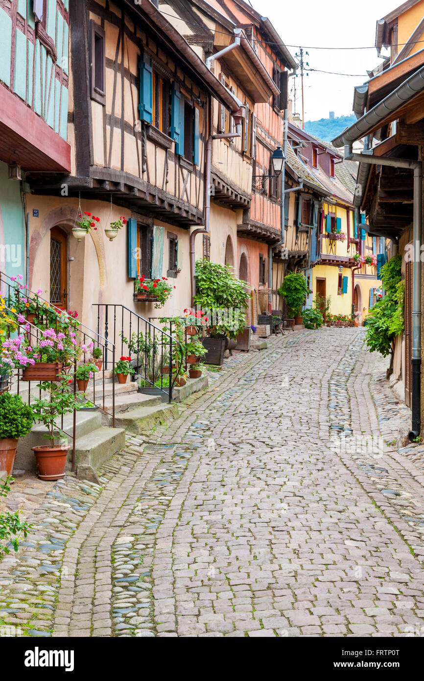 Fachwerkhäuser, entlang der Weinstraße, Eguisheim, Elsass, Haut Rhin, Frankreich Stockfoto