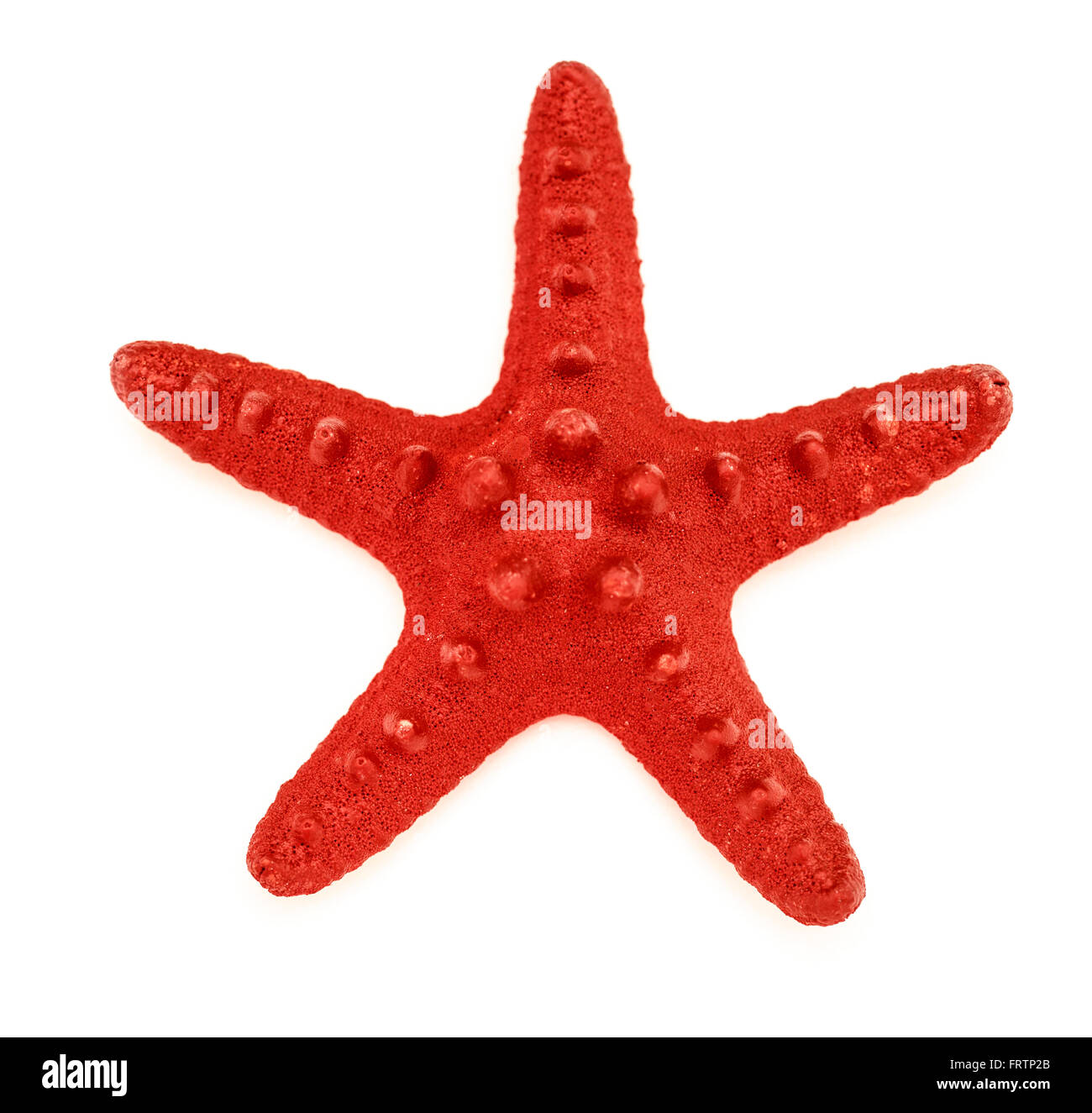 Dekorative Rote Meer Sterne auf weißem Hintergrund Stockfoto