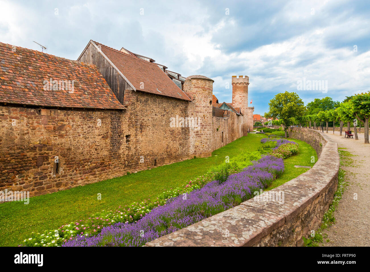 Die Wehrmauer, Obernai, Bas-Rhin, Elsass-Frankreich Stockfoto