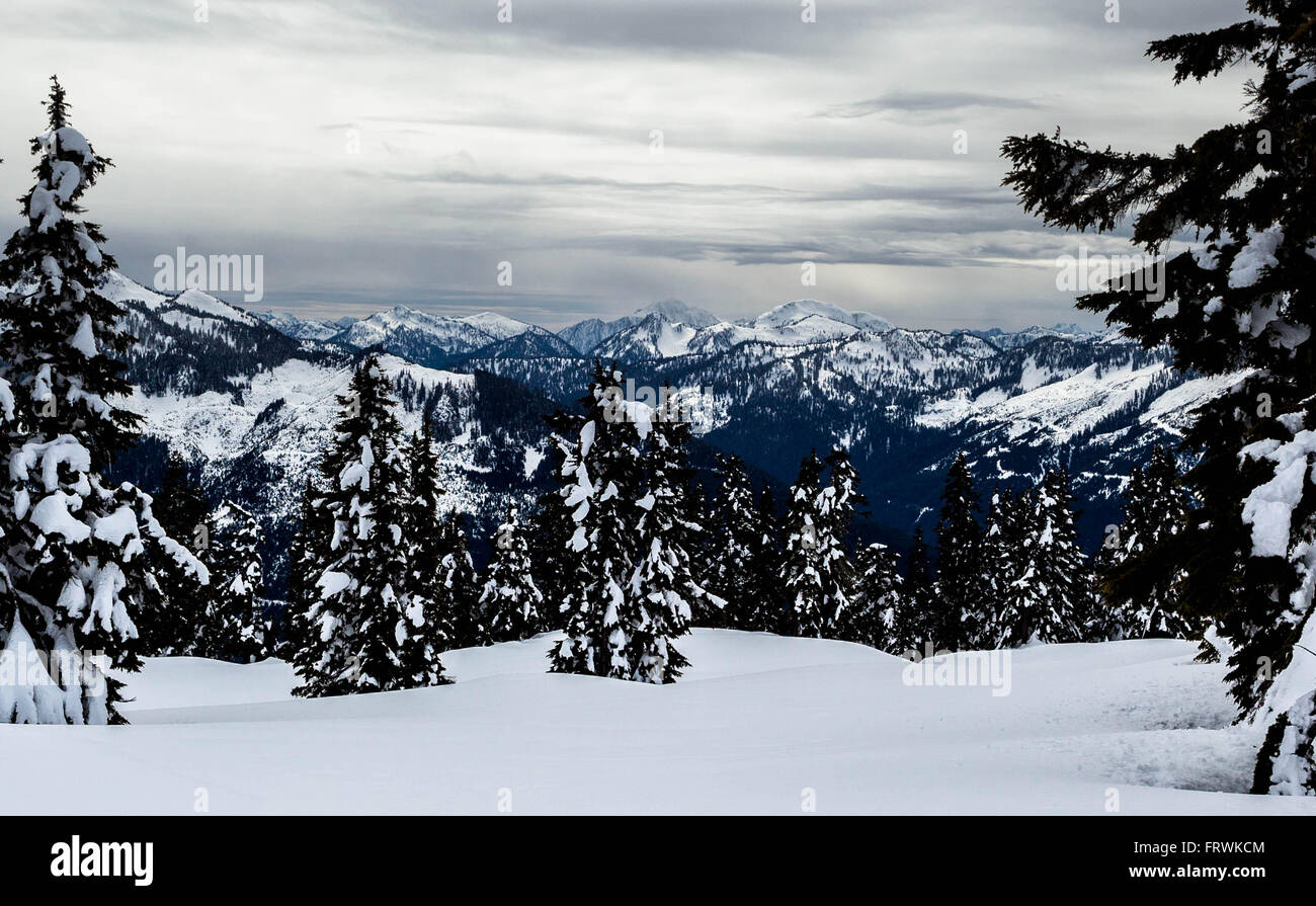 Blick vom Elfin Seenweg, Garibaldi Park, BC Stockfoto