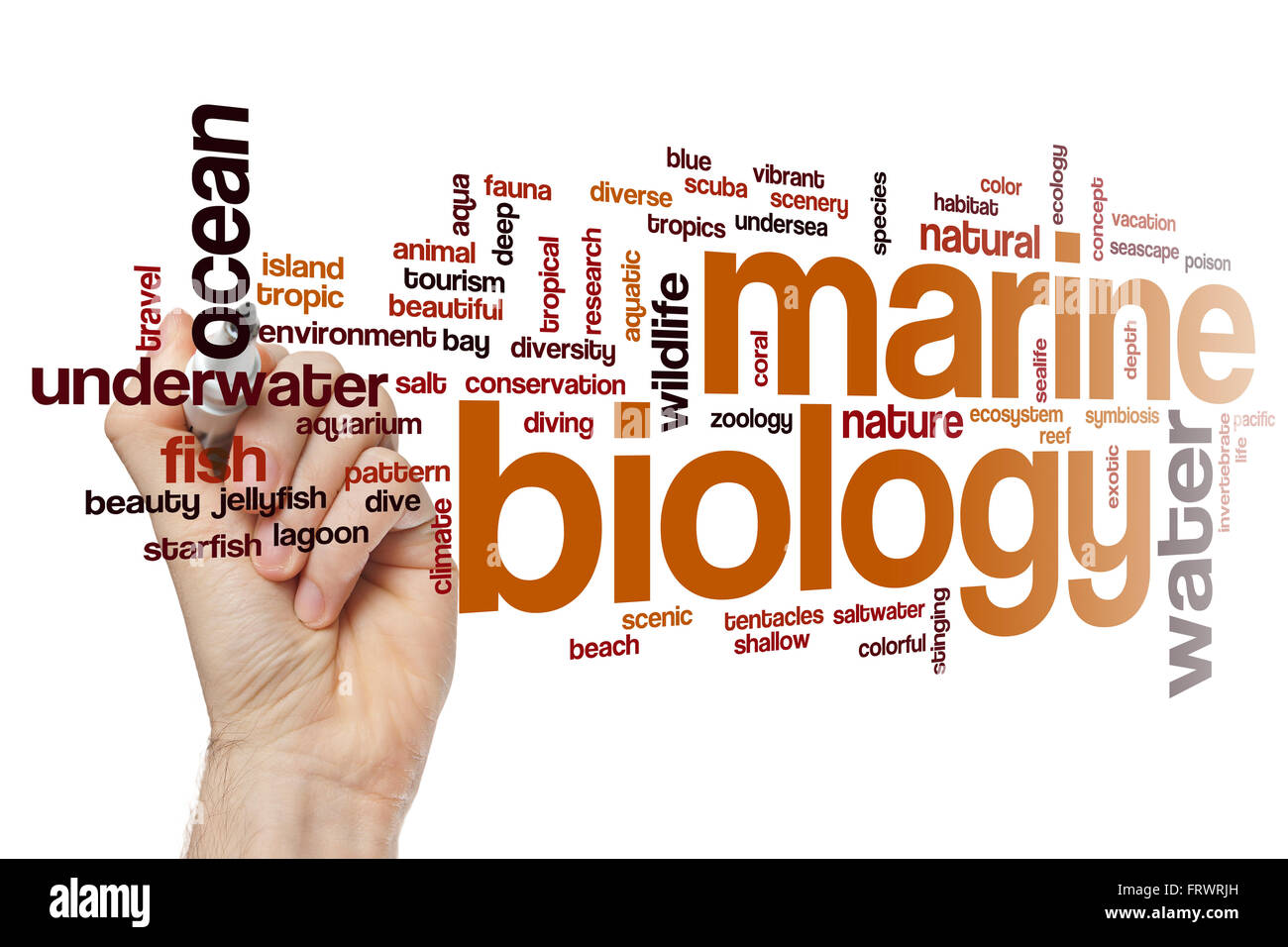 Meeresbiologie-Wort-Cloud-Konzept Stockfoto