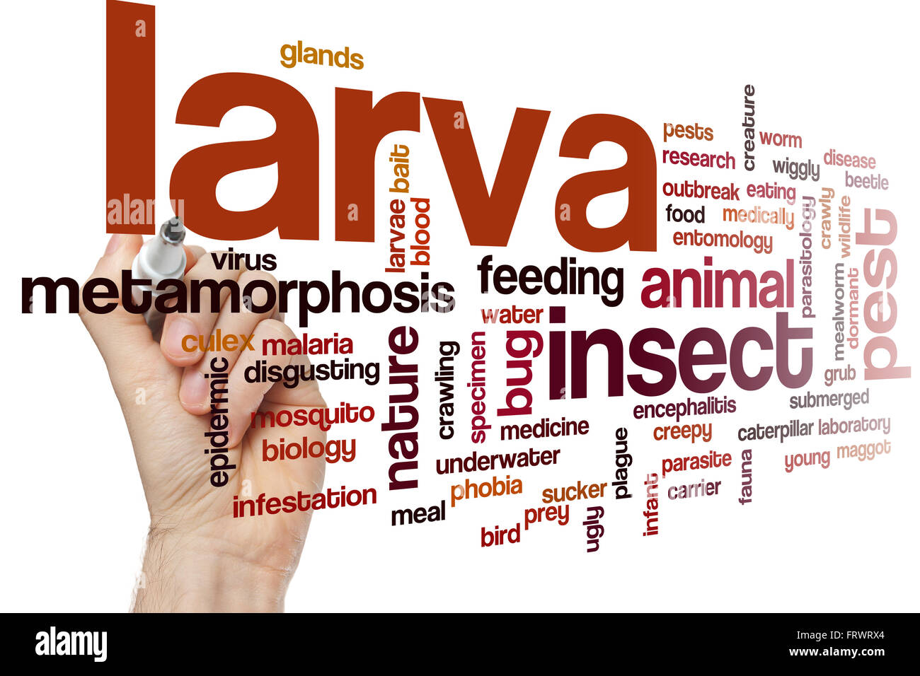 Larve Word Cloud-Konzept Stockfoto