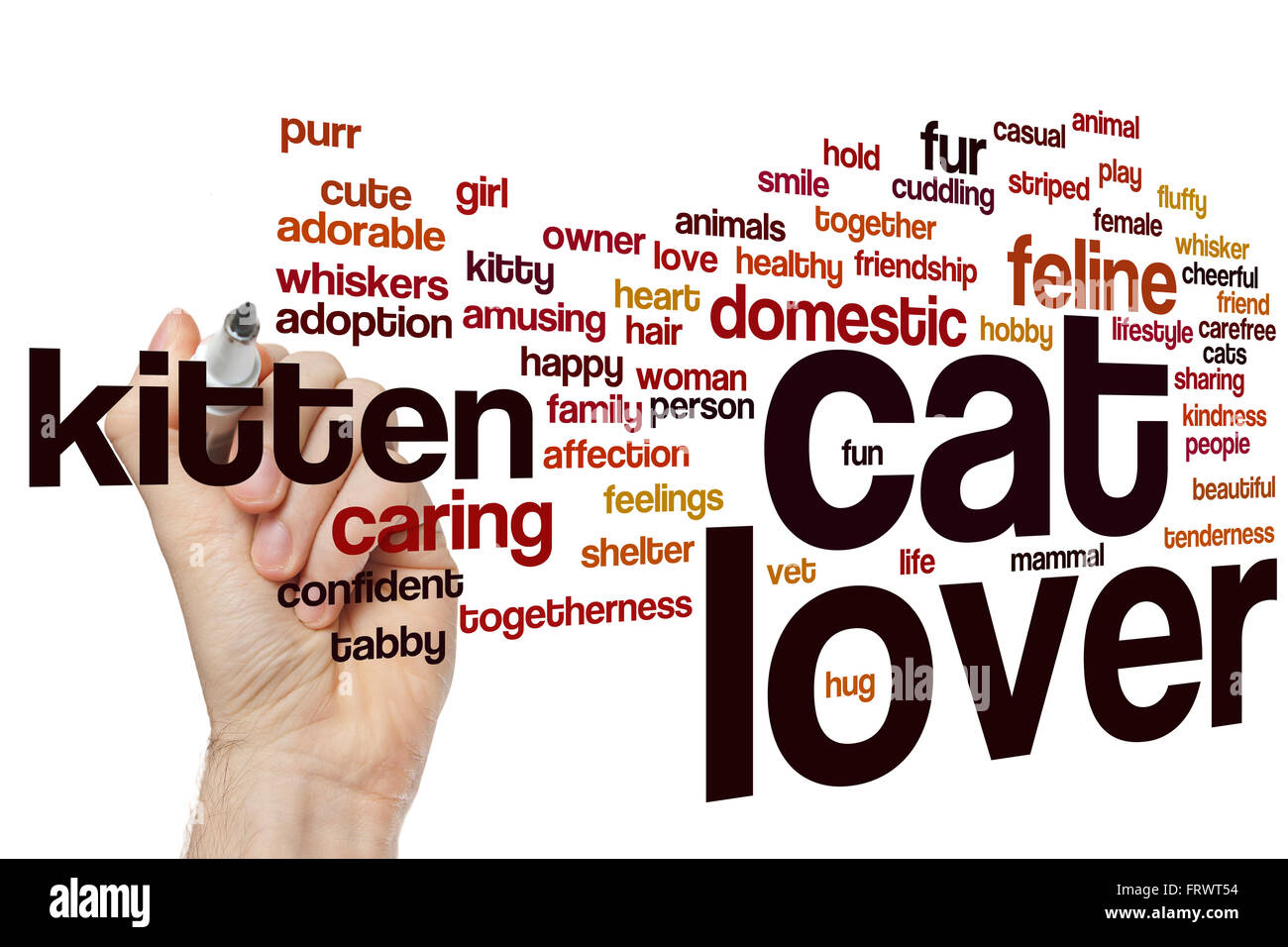 Katze-Liebhaber Konzept Word Cloud-Hintergrund Stockfoto