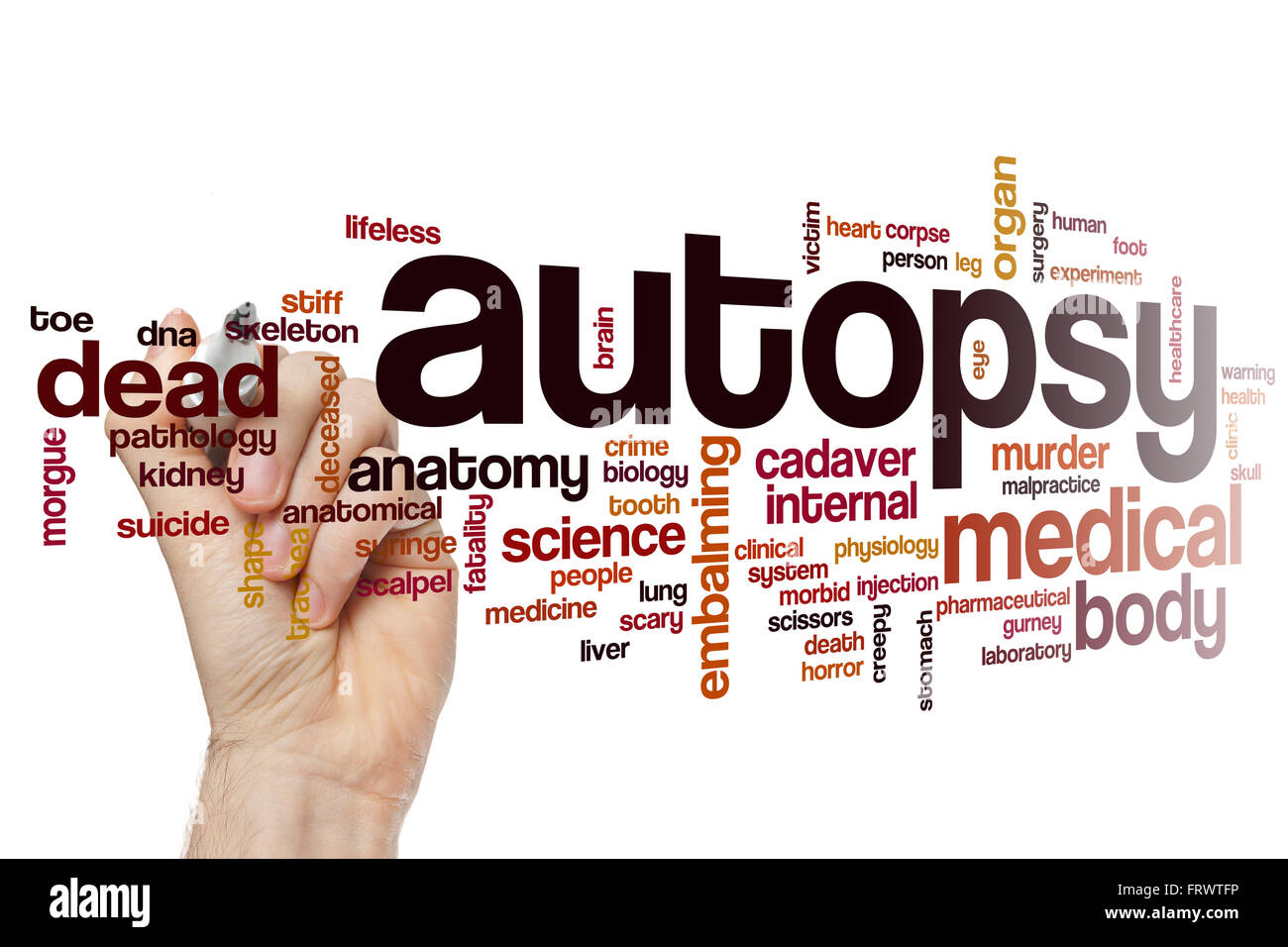 Autopsie-Wort-Cloud-Konzept Stockfoto