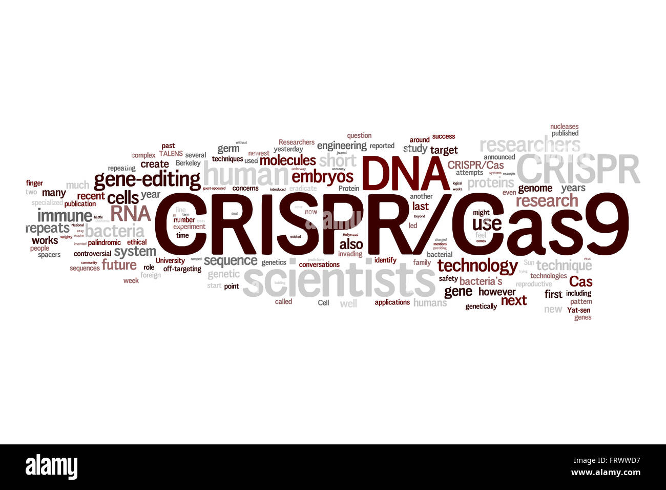CRISPR/Cas9 System für die Bearbeitung, cloud, Regulierung und targeting Genome (Bio- und Gentechnologie) Wort Stockfoto