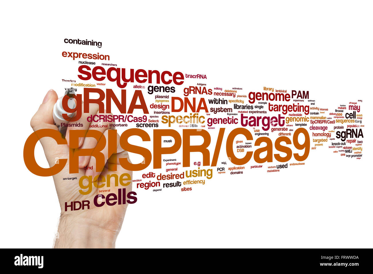 Handschrift CRISPR/Cas9 System für die Bearbeitung, Regulierung und targeting Genome (Bio- und Gentechnologie) Wortwolke Stockfoto