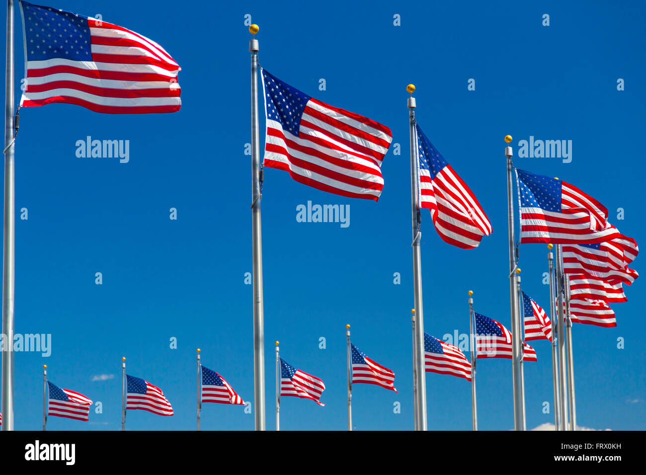 Amerikanische Flaggen in der Nähe von Washington Monument in Washington DC, USA Stockfoto