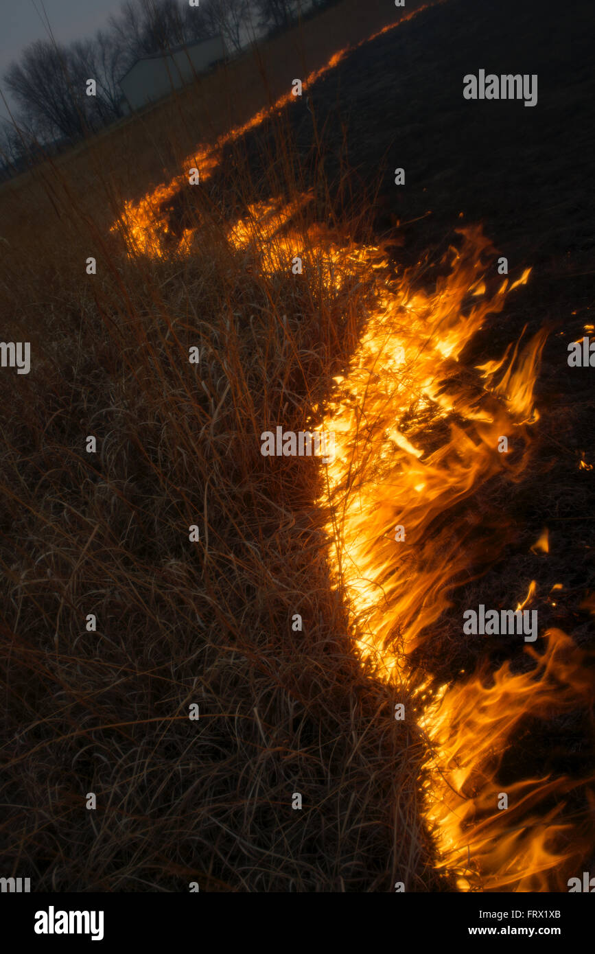 Auburn, Kansas, 30. März 2014 jährliche Felder verbrannt, um Unkräuter und holzige Pflanzen Credit: Mark Reinstein Stockfoto