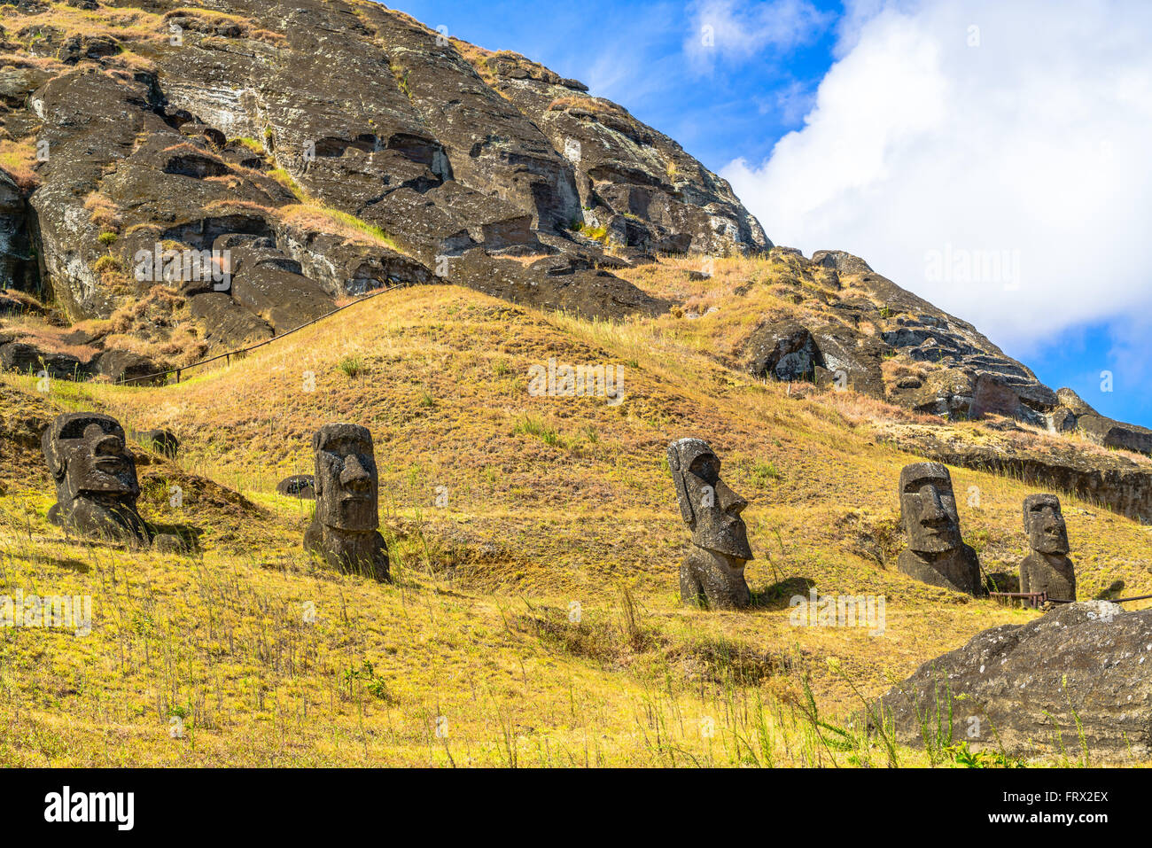 Moais am Rano Raraku Steinbruch in Osterinsel, Chile Stockfoto