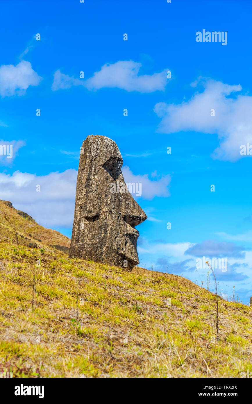 Moai, die vulkanischen Steinstatue auf dem Hügel Rano Raraku Steinbruch in Osterinsel, Chile. Stockfoto