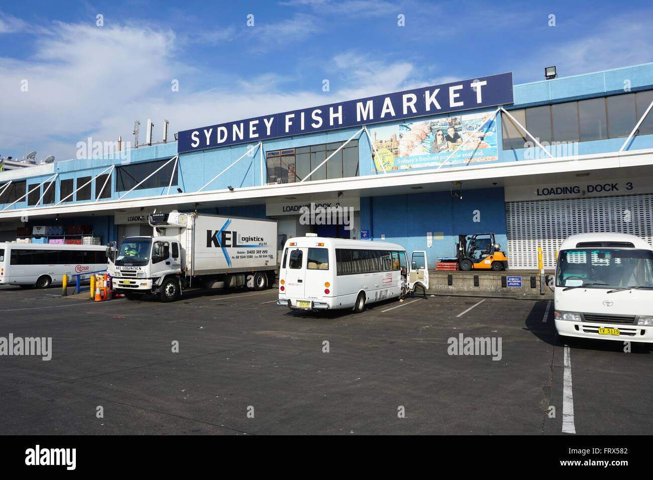 SYDNEY - AUG 21: Ein Blick auf Sydney Fish Market am 21. August 2015 in Sydney. Es ist die 3. größte Fischmarkt der Welt, Christiansen Stockfoto