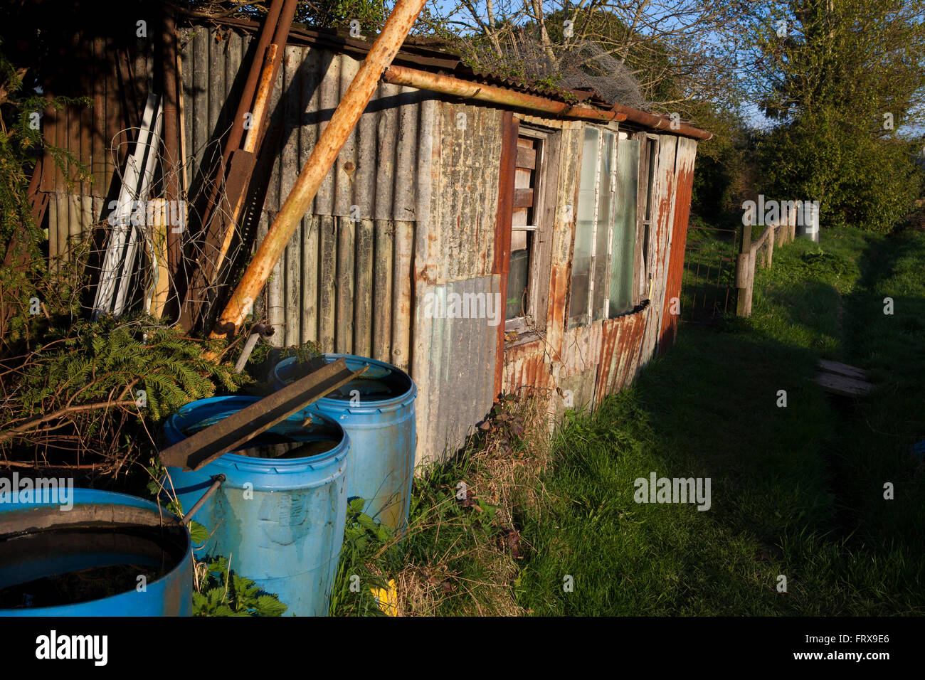Einer alten verfallenen Schuppen auf einer Zuteilung sitzt im Frühling, die Sonne bedeckt Metallplatten Wellpappe. Stockfoto