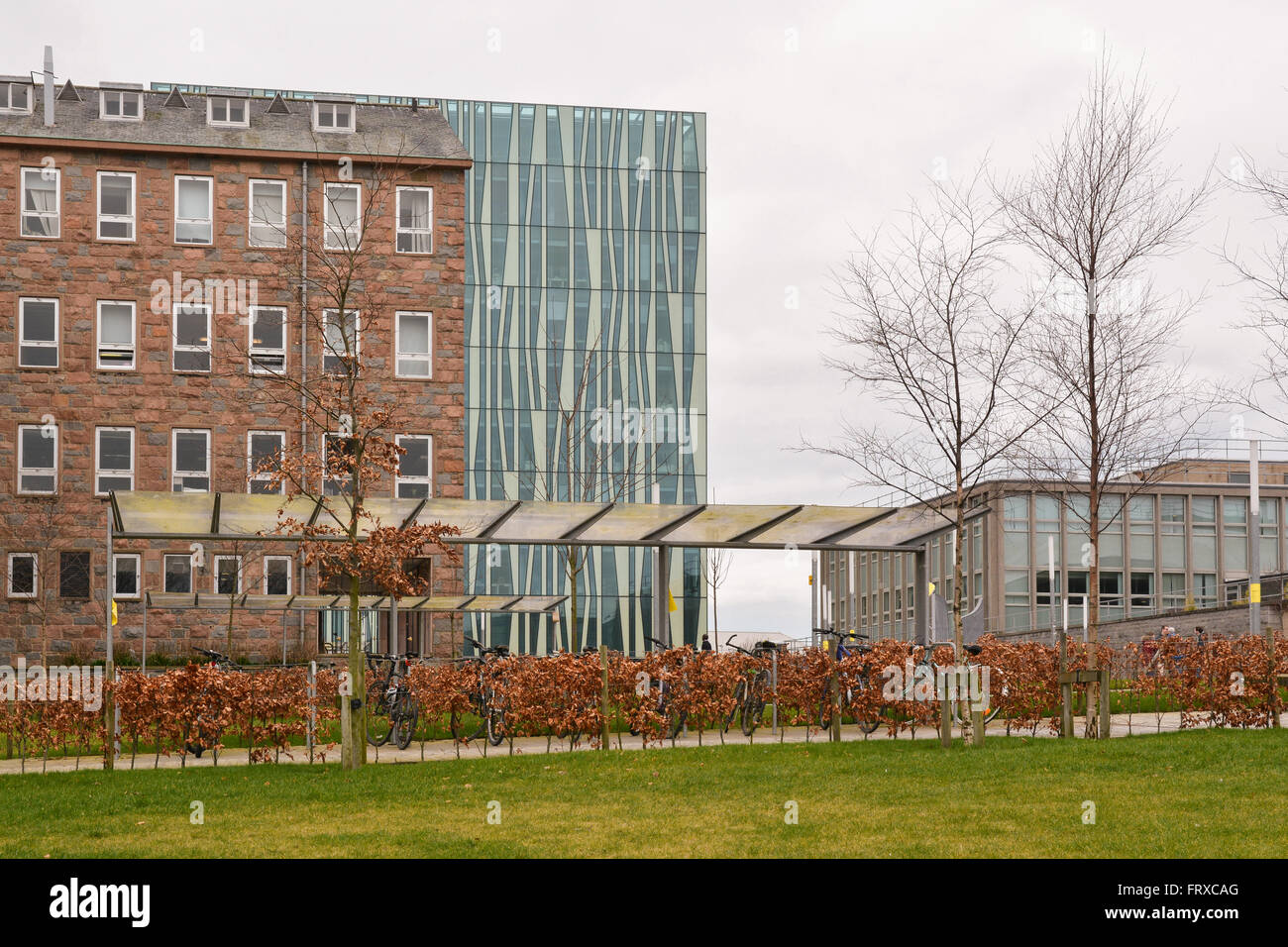 Universität von Aberdeen - Old Aberdeen Campus - The Meston Gebäude mit der markanten Sir Duncan Reis Bibliothek hinter Stockfoto