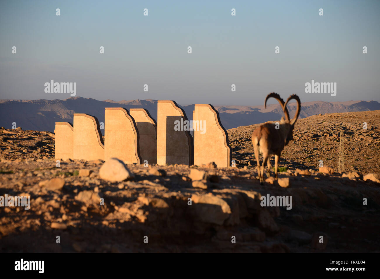 Steinbock in der Nähe von Skulpturen an den Krater des Ramon nahe Mizpe Ramon, Wüste Negev, Süd-Israel, Israel Stockfoto