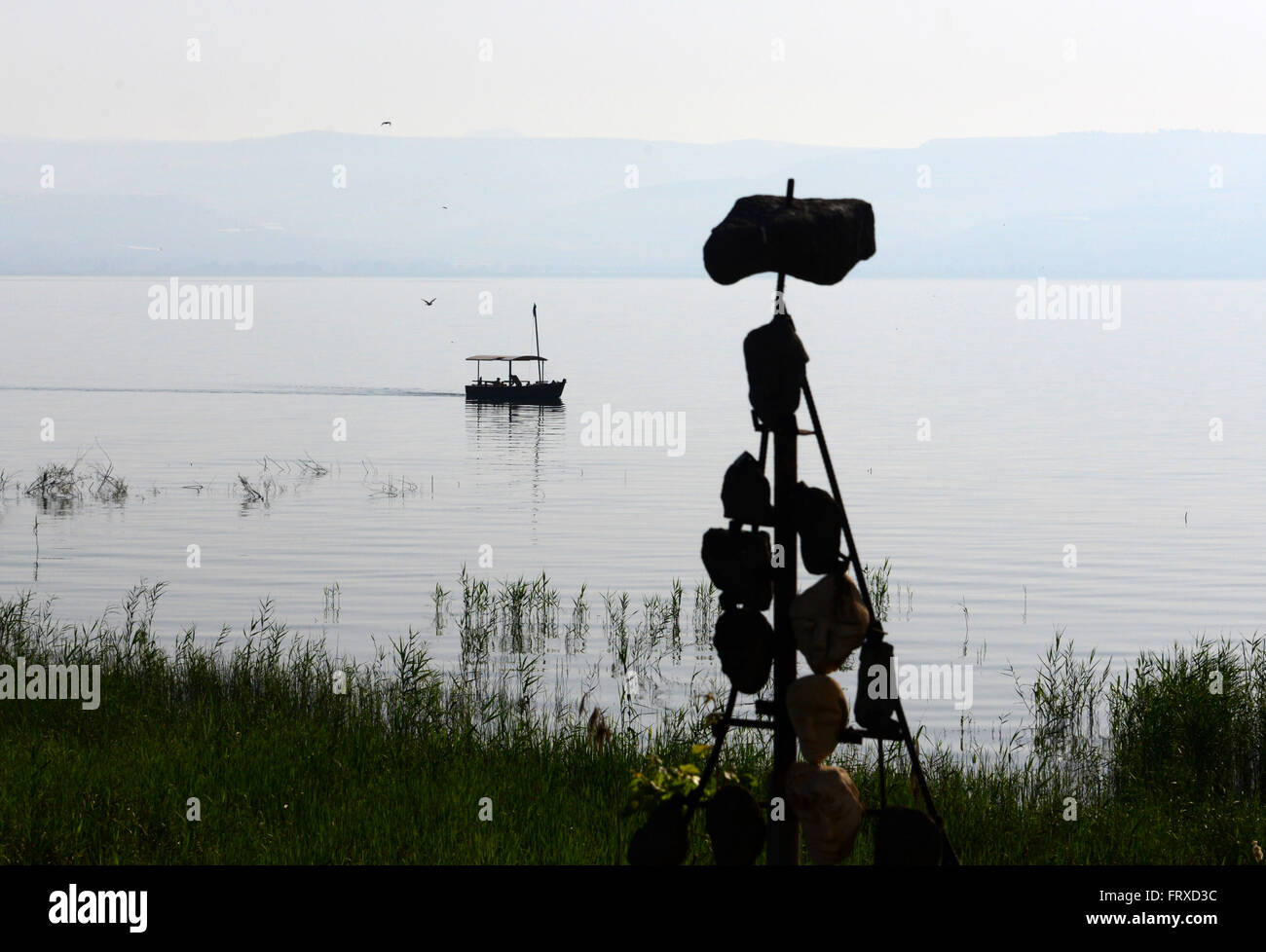 An der Küste in der Nähe von Ginosar am westlichen Ufer, See Genezareth in Galilea, Nord-Israel, Israel Stockfoto