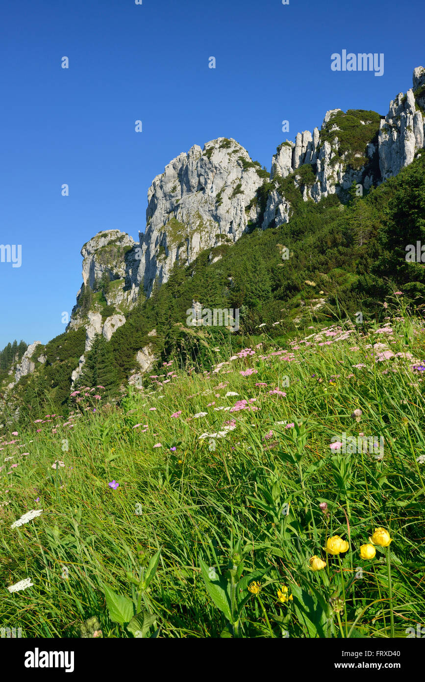 Kampenwand, Chiemgauer Alpen, Chiemgau, Upper Bavaria, Bayern, Deutschland Stockfoto