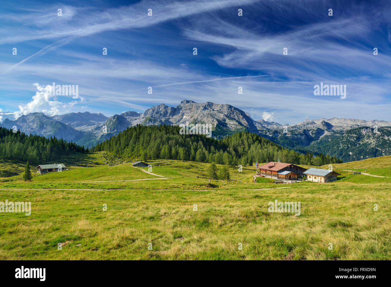 Blick über Gotzenalm mit Almhütten, Steineres Meer, Nationalpark Berchtesgaden, Berchtesgadener Alpen, Upper Bavaria, Bavaria, Germany Stockfoto