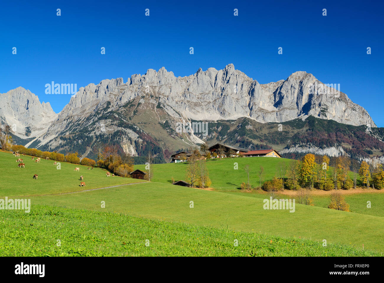 wilder-kaiser-aus-s-den-mit-karlspitzen-regalmspitze-ackerlspitze-und