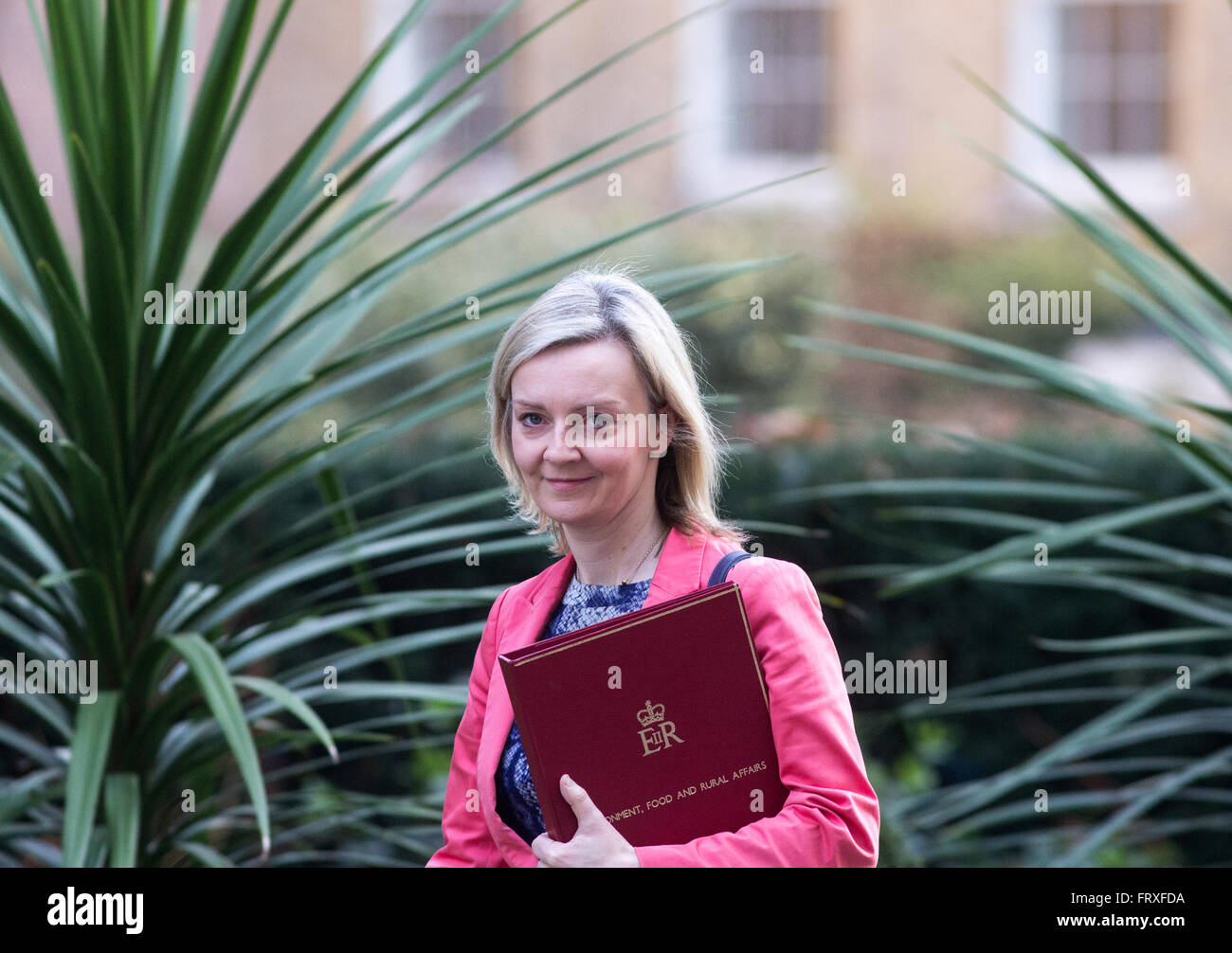 Liz Truss, Staatssekretär für Umwelt, Ernährung und ländliche Angelegenheiten in der Nummer 10 Downing Street für eine Kabinettssitzung Stockfoto