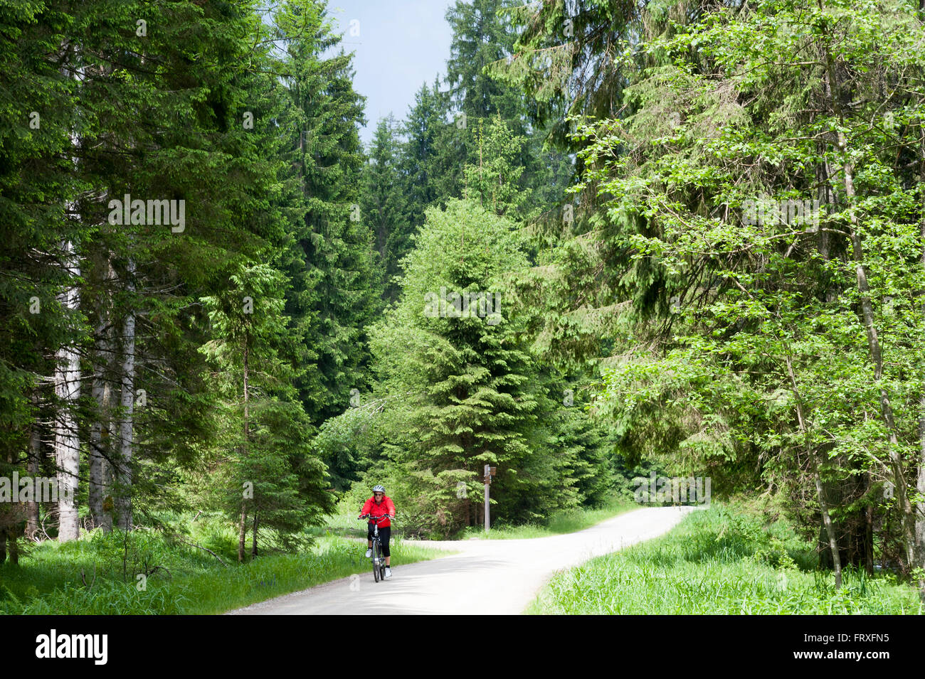 Radfahrer in Schmalzbachtal, Zwieseler Waldhaus, Bayerischer Wald, Bayern, Deutschland Stockfoto