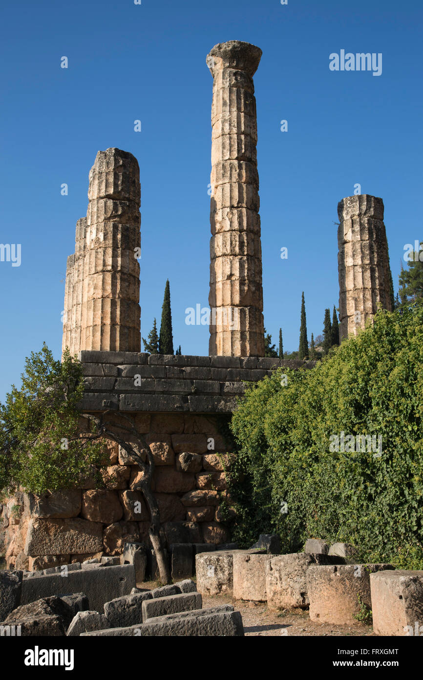 Spalten in den Tempel des Apollo in Delphi 4. Jh. v. Chr. Ruinen, Delphi, Griechenland, Peloponnes, Mittelgriechenland Stockfoto Spalten in den Tempel des Apollo in Delphi 4. Jh. v. Chr. Ruinen, Delphi, Griechenland, Peloponnes, Mittelgriechenland Stockfoto